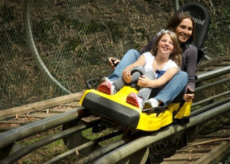 Ingresso Alpen Park Canela  Reserve Seus Ingressos Hoje Mesmo