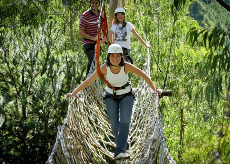 Ingresso Alpen Park Canela  Reserve Seus Ingressos Hoje Mesmo